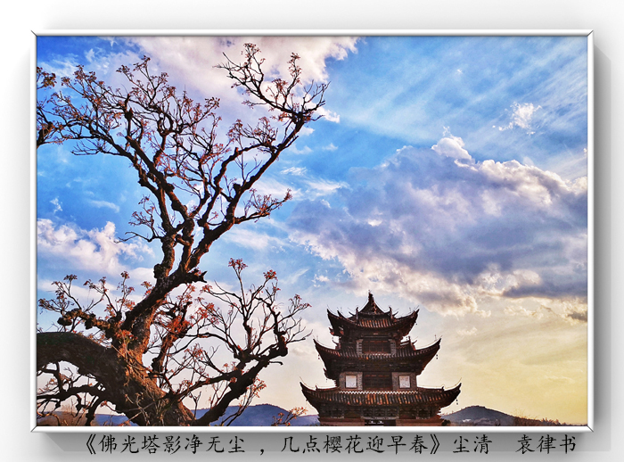 025《佛光塔影凈無塵 ，幾點櫻花迎早春》.jpg